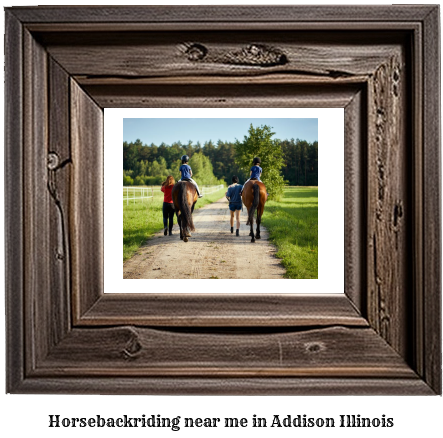 horseback riding near me in Addison, Illinois